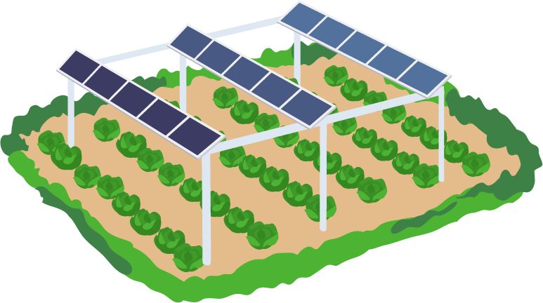 営農型太陽光発電システム（ソーラーシェアリング）
